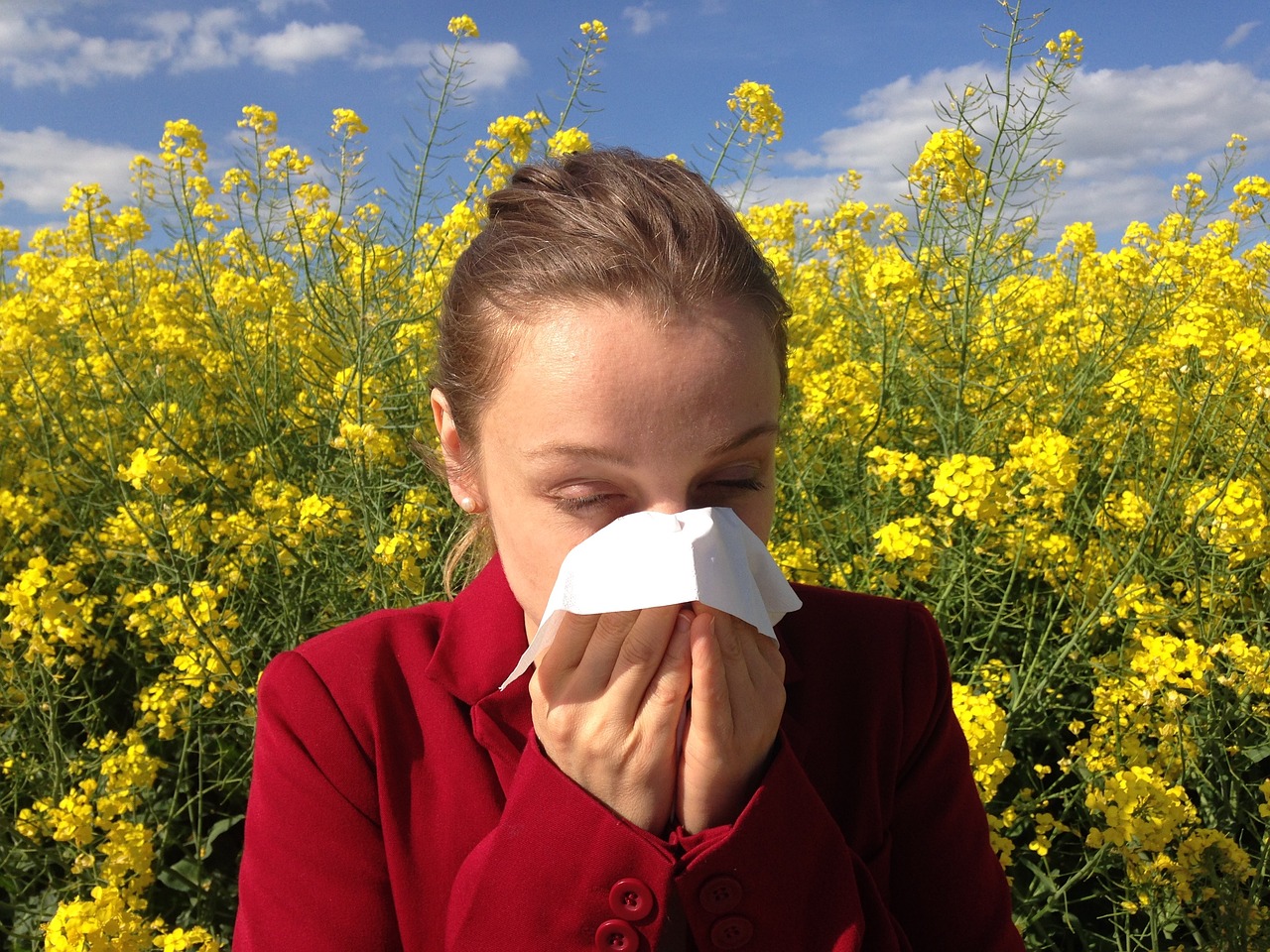 Woman Blowing Nose from Allergies in Field