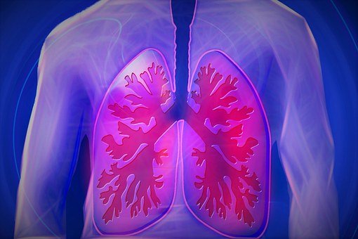 pper Body, Lung, Copd, Disease, Doctor